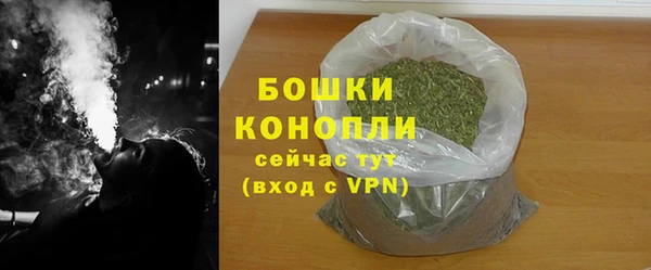 прущие грибы Куйбышев