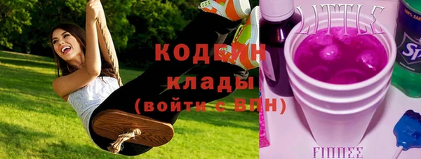 прущие грибы Куйбышев