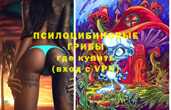 прущие грибы Куйбышев