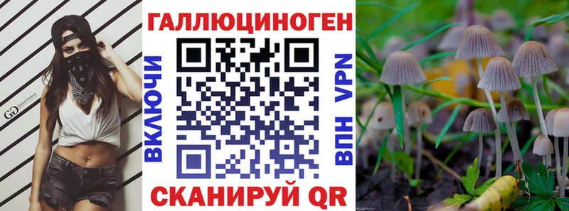 купить наркотик  Серафимович  Галлюциногенные грибы мицелий 
